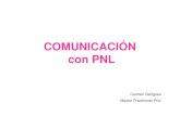 Comunicacion con PNL