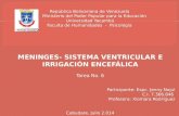 Tarea 6   meninges-sistema ventricular e irrigación encefálica