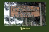 Santuario De La Naturaleza Bosque Las Petras