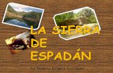 3  Flora y fauna de la Sierra de Espadán