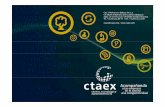 Presentación CTAEX 2011 Acompañando a las empresas en el camino a la competitividad