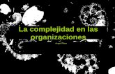 Complejidad en las organizaciones