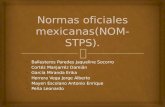 Normas oficiales mexicanas(nom stps)