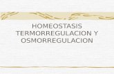 Homeostasis Termoregulacion