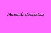 Animals domèstics