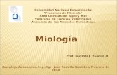 Miologia 2010