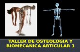 Taller de Osteología (115-2-B)