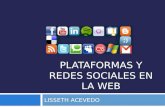Plataformas Y Redes Sociales En La Web