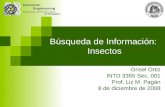 Busqueda De Informacion Insectos