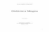 Didactica magna, libro
