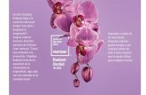 Color del  2014 Orquídea Radiante