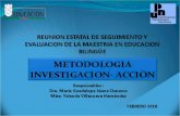 Metodología Investigación-Acción