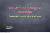 Do Latin ao galego e ao castelán. v1.4_2012