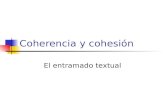 Coherencia Y Cohesin2850
