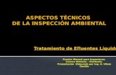 Aspectos técnicos de la inspección ambiental