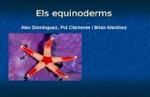 Equinoderms alex pol-web