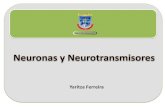 Neuronas y neutransmisores