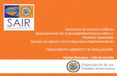 Presentacion SAIR-OEA