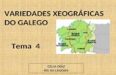 Variedades xeográficas do galego