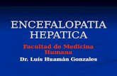 Fisio Encefalopatia Hepatica