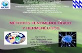 MÉTODOS FENOMENOLÓGICO  Y HERMENÉUTICO