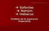 29494510 sofonias-nahum-habacuc