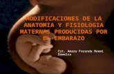 Modificaciones de la anatomia y fisiologia maternas producidas