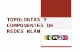 TOPOLOGÍAS Y COMPONENTES DE REDES WLAN