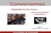 Terremoto en Chile:¿Cuán preparados estábamos?. Parte 4. La organización comunitaria