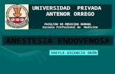 Expo   anestesico endovenoso