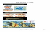 Dibujos comentar tectonica placas