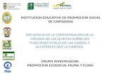 Contaminacion de la Cienaga de las Quintas.  Cartagena-Colombia