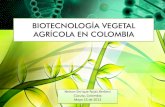 Biotecnología vegetal agrícola en colombia