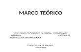 Marco teórico
