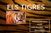 Projecte dels tigres