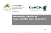 Presentación ejecutiva cluster RSC CoACH 201 0