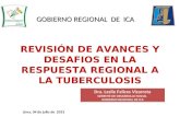 Avances regionales en la lucha contra la TB en el año 2013 en el departamento de Ica