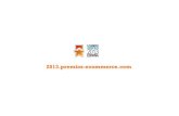 Awards ecommerce2013  guia