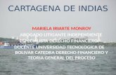 Yo mi region mi cultura Cartagena de indias Mariela Iriarte