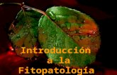 Tema 1 Introducción a la Fitopatología