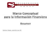 Marco conceptual para la información financiera al 2013. resumen