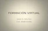 Formacion virtual
