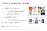 Produccion y costo