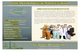 Práctica laboral - guía metodológica