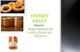 Honey fruit MIEL DE NISPERO