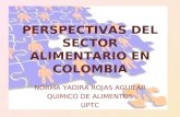 Perspectivas del sector alimentario en colombia