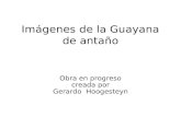 Guayana vieja2