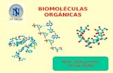 Biomoléculas organicas