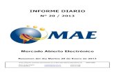 Informe Diario MAE 29-01-13