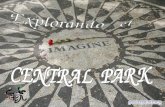 Central park-100168 (1)